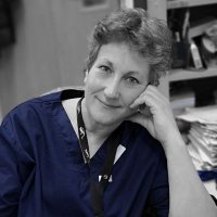 Julie Blake (@jblake971) 's Twitter Profile