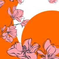 designingwellbeing (@designingwb) 's Twitter Profile