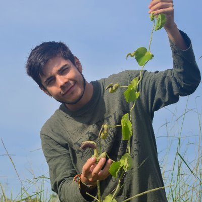 🇨🇴, 🇧🇷 PhD. Student in Plant Biology - @unicampoficial - #Ecology and #Evolution of #TrapFlowers - #Aristolochiaceae #Orchidaceae