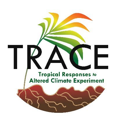 Official account for the Tropical Responses to Altered Climate Experiment (TRACE) in Puerto Rico.