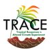 TRACE (@forestwarming) Twitter profile photo TRACE (@forestwarming) Twitter profile photo