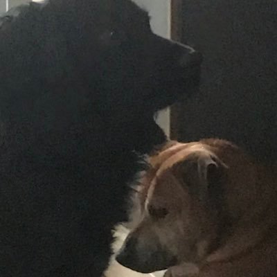 manspider1201's profile picture. I’m fun and I like pizza