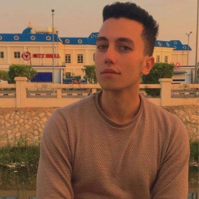 HmdallahAhmed's profile picture. Mechatronics Engineer