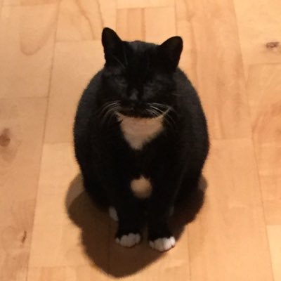 kwolfe217's profile picture. 