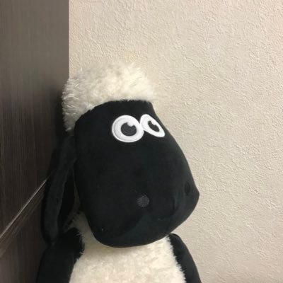 Ccx2KG8y9UGUrDz's profile picture. 都内の小さな会社でコンサルとして働いています