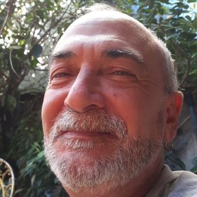 danielsaulmald1's profile picture. .