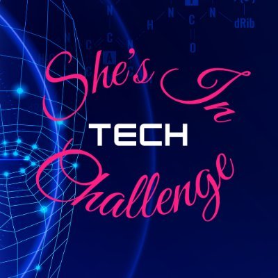 1er Marathon TECH  féminin de l'innovation  & de l'Entrepreneuriat Parrainé par 4Ministres: La Numérisation,les Télécoms, la Culture, ministre délégué  Startups