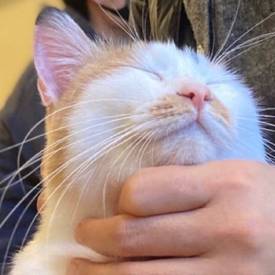 ee_jams's profile picture. 