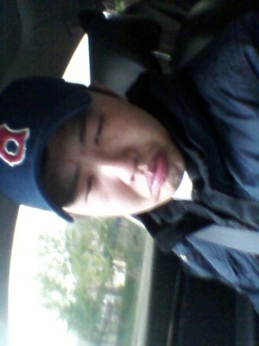 fireflower03's profile picture. 