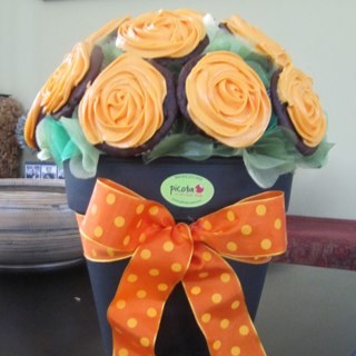 mcoindreaum's profile picture. 