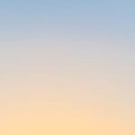 nacholc_'s profile picture. I am my own experiment, removing my scientist's doubts
#cryptoisliberty