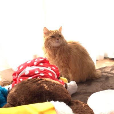 R0_tn's profile picture. 大親友ゥと彼女が作ったのがお前👶🏻それみてパスタ作ったのが俺👨🏻