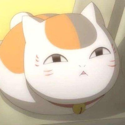 nNfz1TSmFqfS9Sn's profile picture. 貓