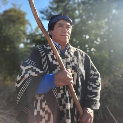 Werken Territorio NagChe
#wallmapu #mapuche