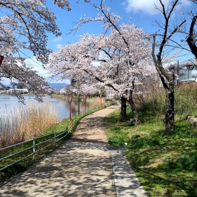 20歳国公立医学部| Web制作 |独学| #駆け出しエンジニアと繋がりたい #プログラミング初心者と繋がりたい 気軽にフォローしてください!! 無言フォロー失礼します🙇♂️