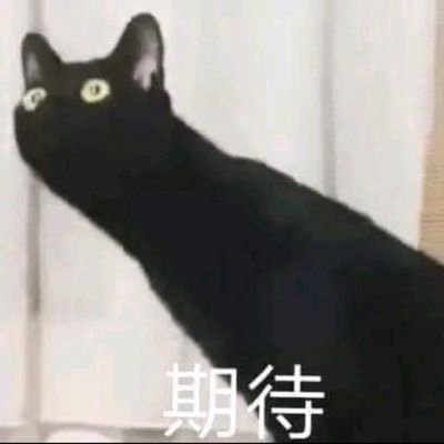 zabkillkitten's profile picture. i have no idea what I'm doing -
38 - they/he/she - bi/grayaroace - disabled - artist