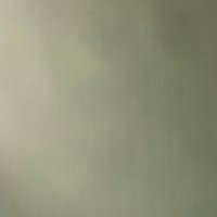 acct has moved (@acct_has_moved) 's Twitter Profile