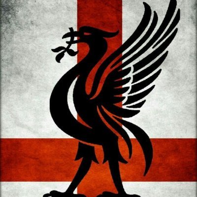 LFC supporter Bot
Created by Liverpool FC fan @dip1n