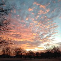 Tweedyboy57 (@tweedyboy57) 's Twitter Profile