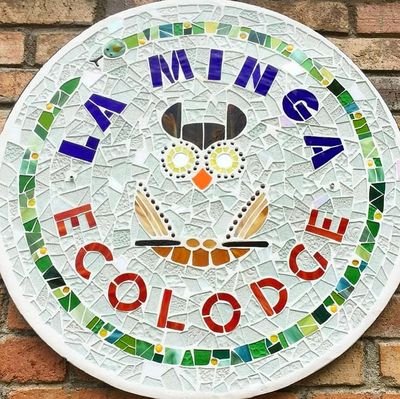 With more than 353 species of birds have been registered, 7 endemic species and 12 threatened species.

Email: laminga.ecolodge@gmail.com