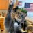 ねこちゃんのアイコン