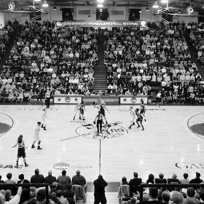 This book is a compilation of essays that underscore the formidable spirit, undeniable grit and enduring soul of Erie athletics.