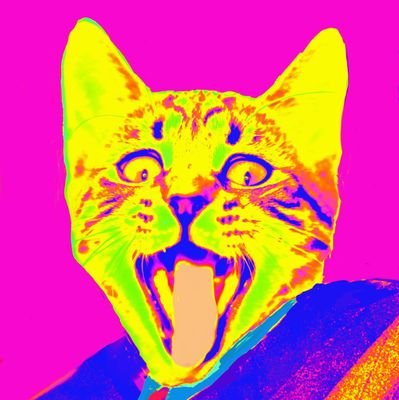 アインシュタインさんのプロフィール画像