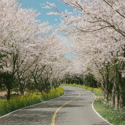 sueajh's profile picture. bored