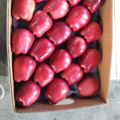 exporter importer
00905333621621
🌎🇹🇷🇹🇷 TURKEY 🇹🇷🇹🇷🌍