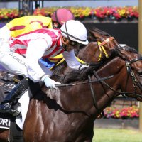 Mathew Ellerton (@ellertonmathew) 's Twitter Profile