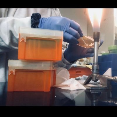 Fleandrah's profile picture. LOG⚾️