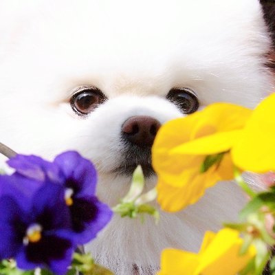 タレ目スマイルがキュートな女の子💕2012年5月5日生→2024年10月20日(12歳5ヶ月)👼🌈 LINE着せ替え発売中🌸 https://t.co/FR6qQU4M1K