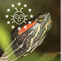 European Alien Species Information Network - EASIN (@eu_aliens) 's Twitter Profile