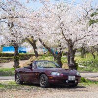 石ロド (@inb8c) 's Twitter Profile