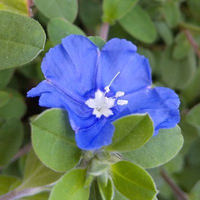 chilira_La29's profile picture. 見えないもの、不思議なことや癒しに興味あり。

誰もが、１人の人間として生きやすい社会になることを願っています。