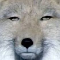 2018/5/25息子誕
育児とオタク垢
新米ママ。日々奮闘。
アニメ・漫画・ゲーム雑食にハマります。BLも大好物な腐女子です。刀ミュの沼に溺れ中。にっかり青江沼落ちました
定期的に育児のことで病みます