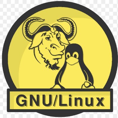 Profesor de  Android, OpenShift, SOLARIS, Tru64 UNIX, HP-UX, Debian y Ubuntu GNU/Linux,...con 4800 h.impartidas.
Analista de Sistemas con 31 años de experiencia