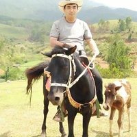 Marsh Grady ❤️ Memecoin (@marshgrady1) 's Twitter Profile