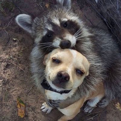 joiedevivre2437's profile picture. Simple