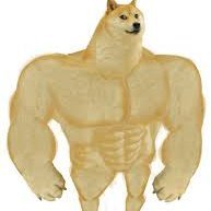 Till53525883's profile picture. 