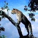 Kali - @KaliBlack48 - Twitter