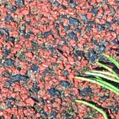 takemikestory's profile picture. 🧊から復活✨日記兼✨かわいいキャラ好き✨どうもよろしくです✨✨