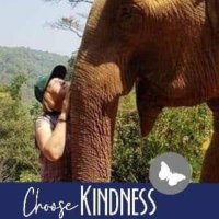 Crazyelephantlady🐘 (@lisaawks) Twitter profile photo