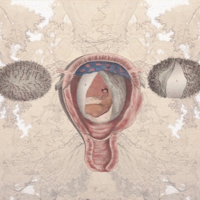 eimisanartomy's profile picture. @eimi_suzuki official web shop