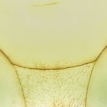 Haya08073885's profile picture. ฉันคือคนอ้วน ตูดใหญ่ แต่ผัว...เล็ก