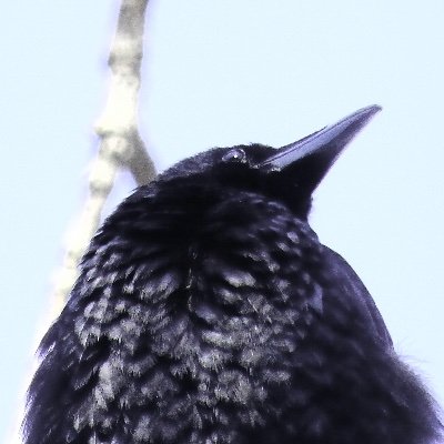 雪さんのプロフィール画像