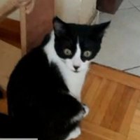 MikeSanchez (@darkmark0106) 's Twitter Profile