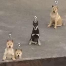 TaraHoo71619220's profile picture. iii