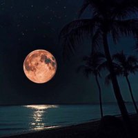 Night Mood (@nightmood116) 's Twitter Profile