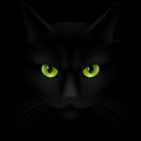 Qumix (@_qumix_) 's Twitter Profile